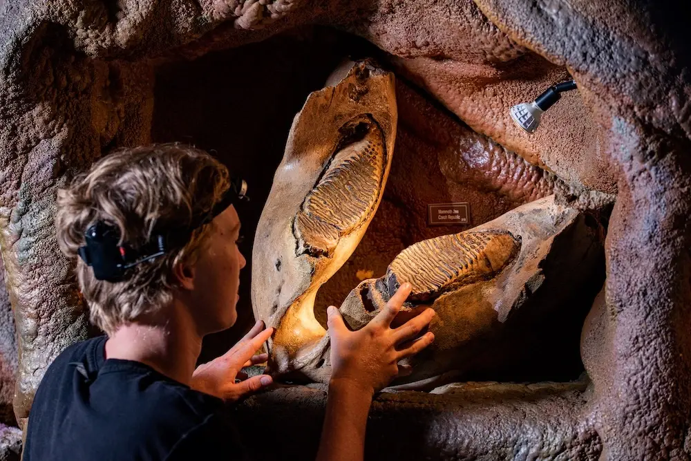 Woolly mammoth display inside Crystal Caves